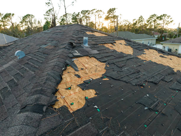 Best Roof Leak Repair  in Cascade Valley, WA